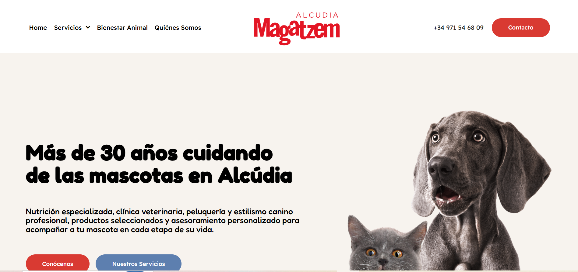 Alcudia Magatzem 2